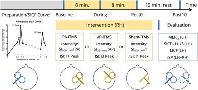 Different effects of I-wave periodicity repetitive TMS on motor cortex interhemispheric interaction